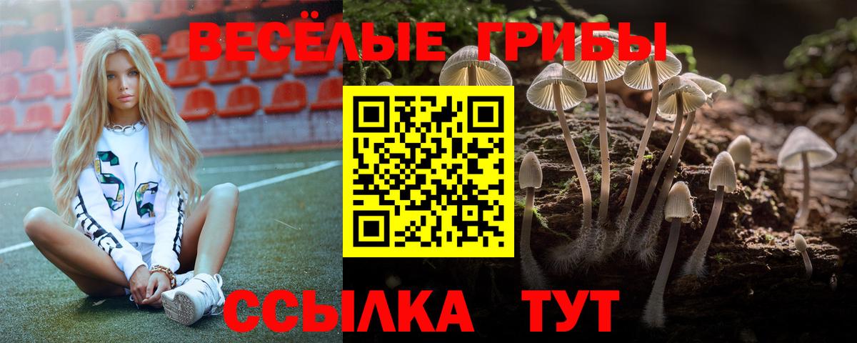 Галлюциногенные грибы мухоморы Кострома